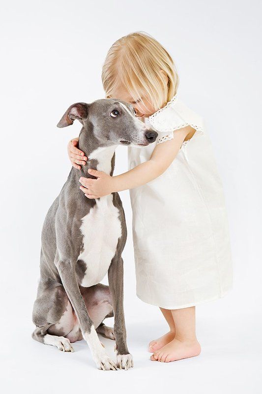 Friendship фото превью