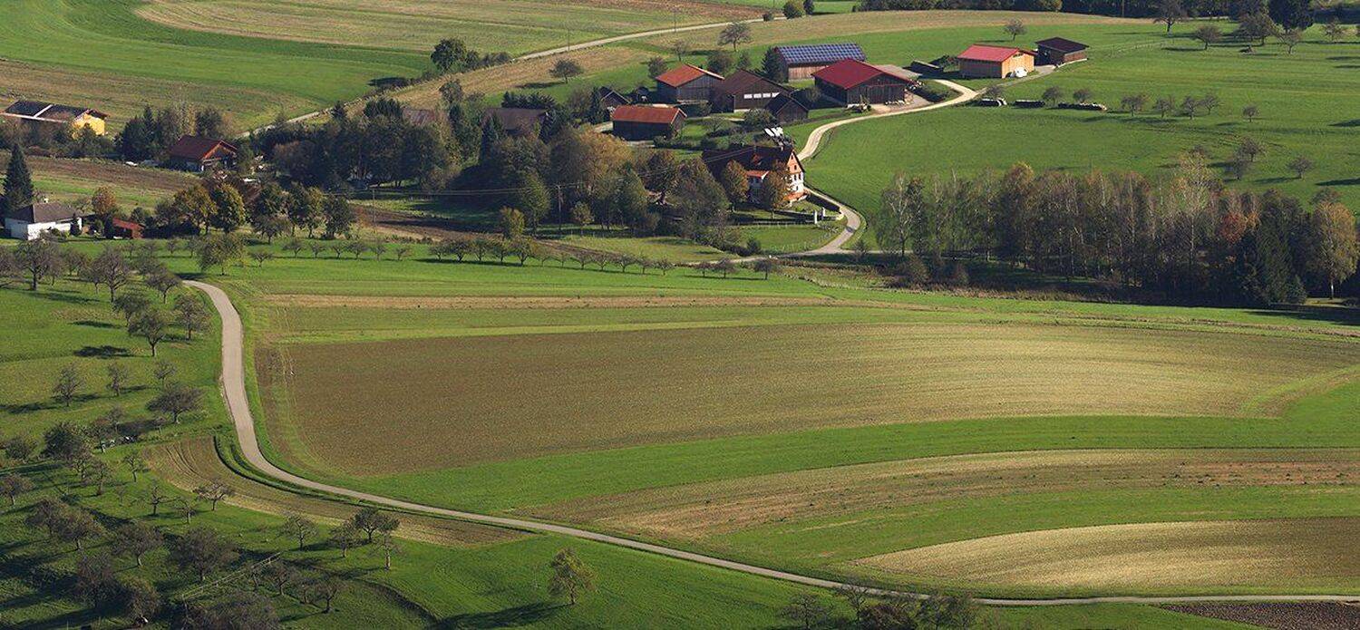 , Игорь Дубровский