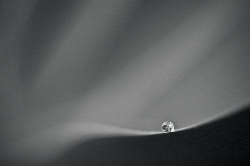 drop