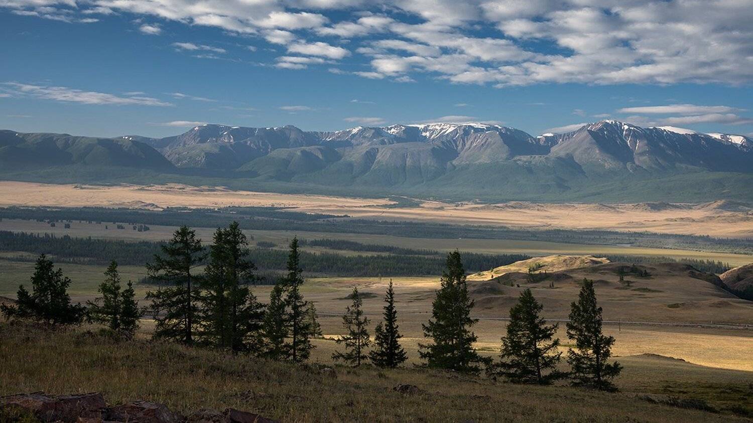 алтай, большой, высокий, голубой, горы, деревья, желтый, зеленый, красивый, курай, курайская степь, лес, панорама, пейзаж, природа, раннее, свет, сибирь, степь, утро, Дмитрий Антипов