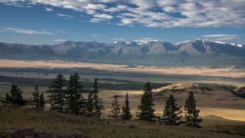 Курайская степь