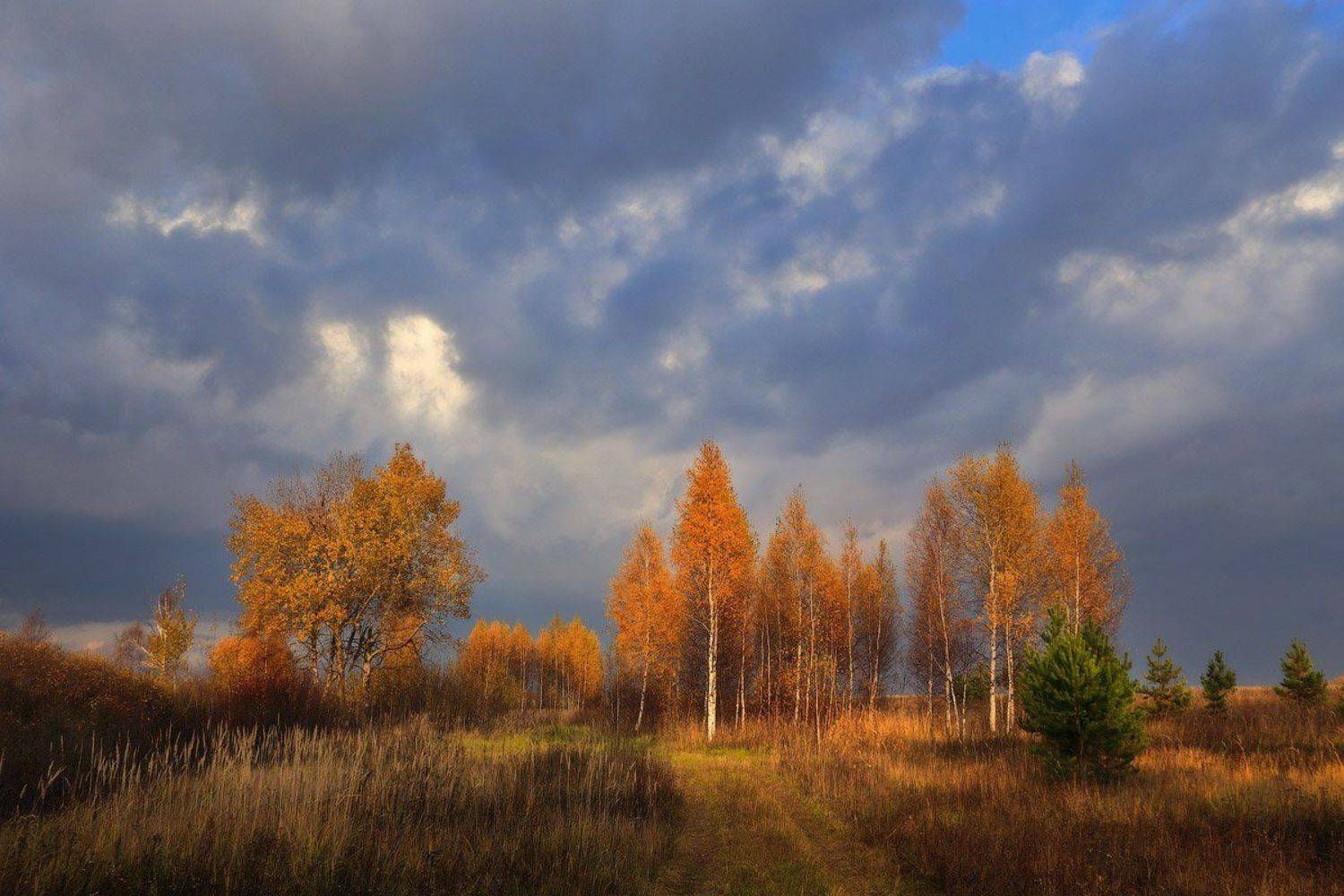 , Дмитрий Алексеев