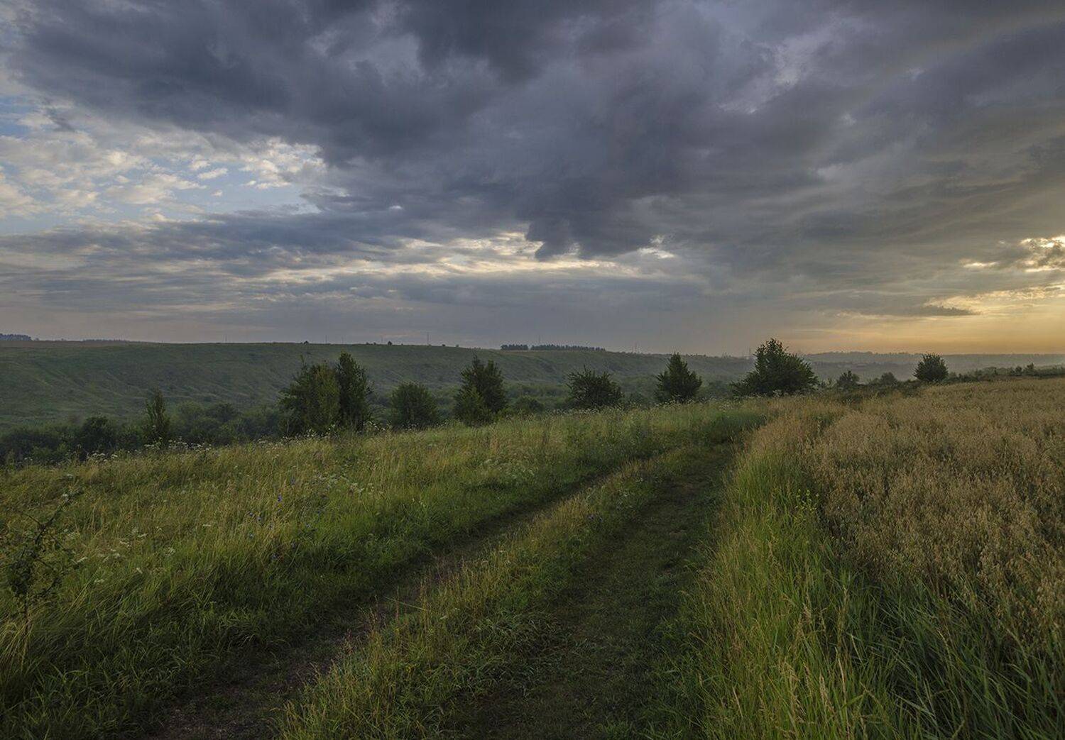 утро, дорога, лето, черепянь, Михаил Агеев