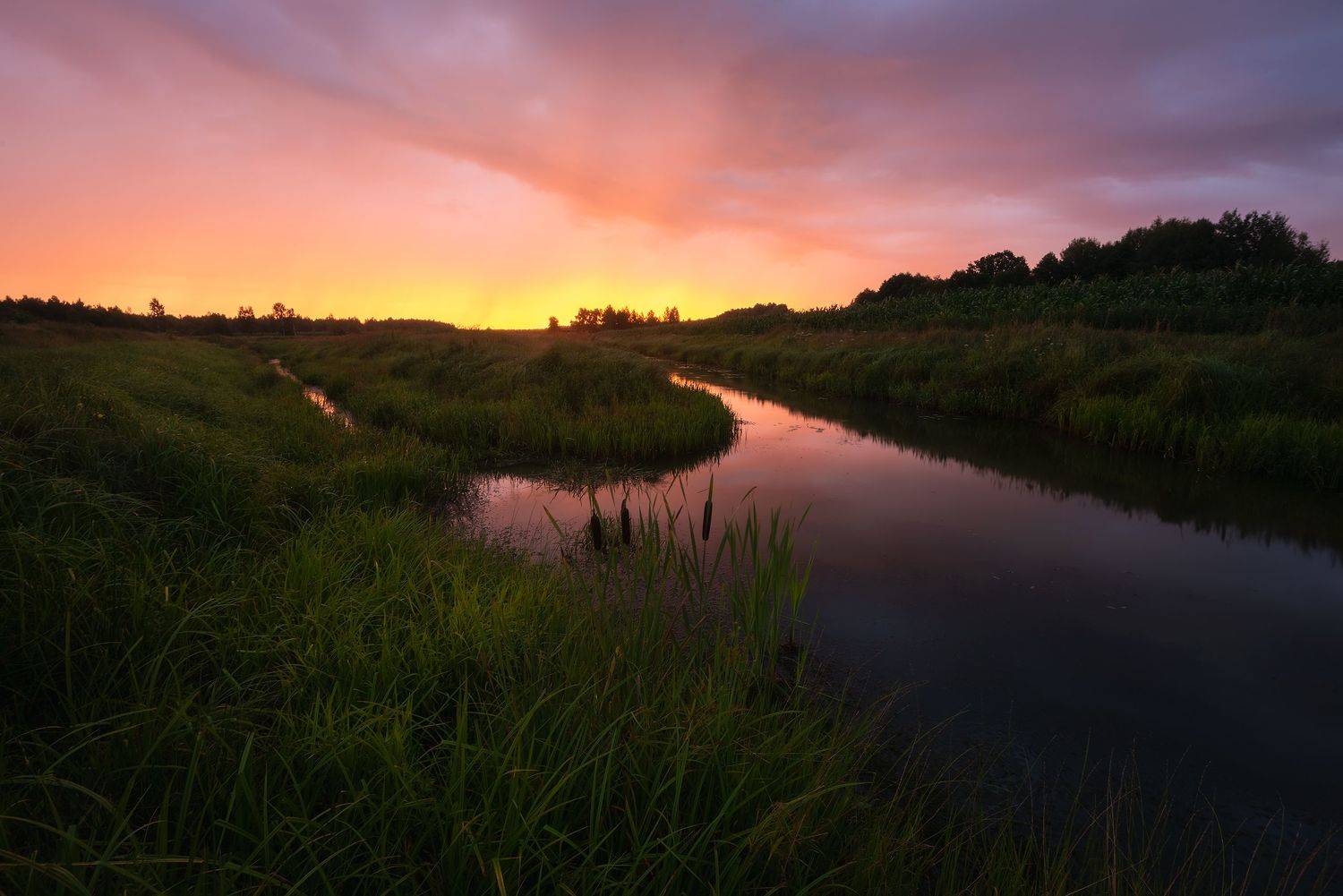 , Захаров Дмитрий
