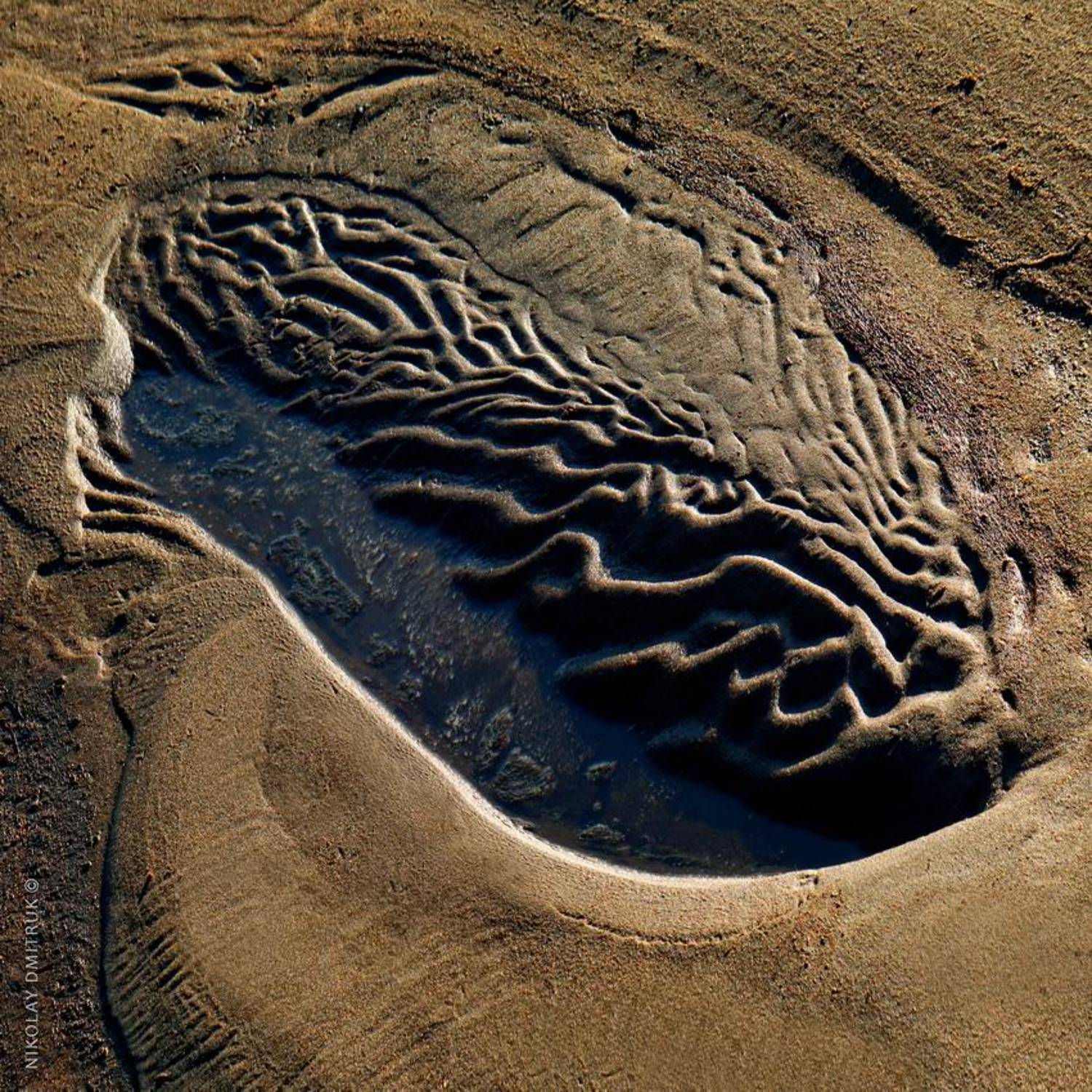 рапан. струга. Звоз. Северная Двина, николай дмитрук