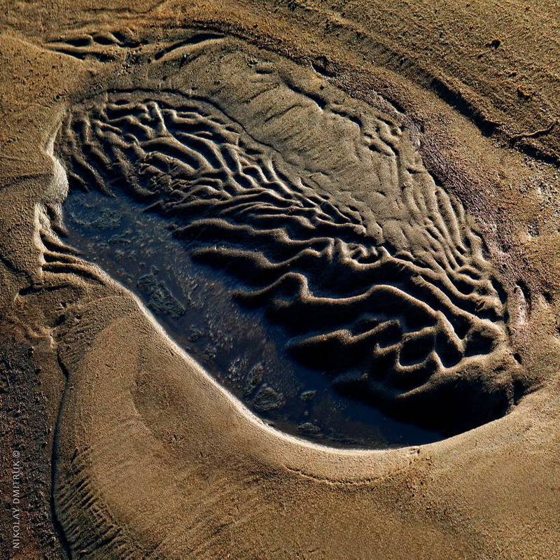 рапан. струга. Звоз. Северная Двина  фото превью