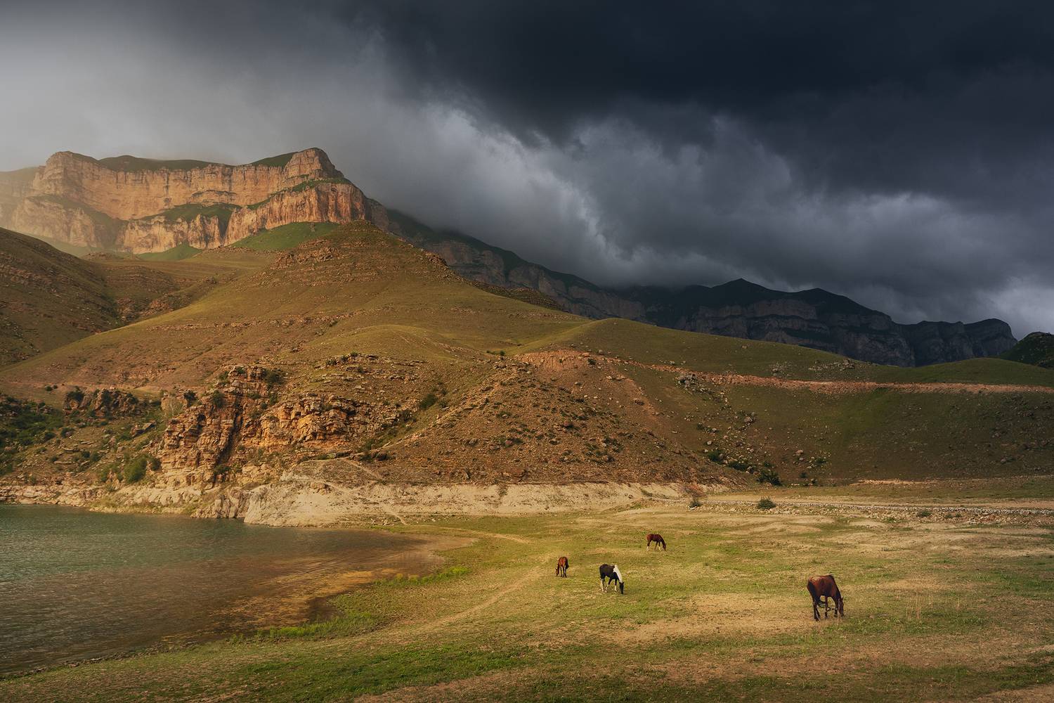 , Дмитрий Купрацевич