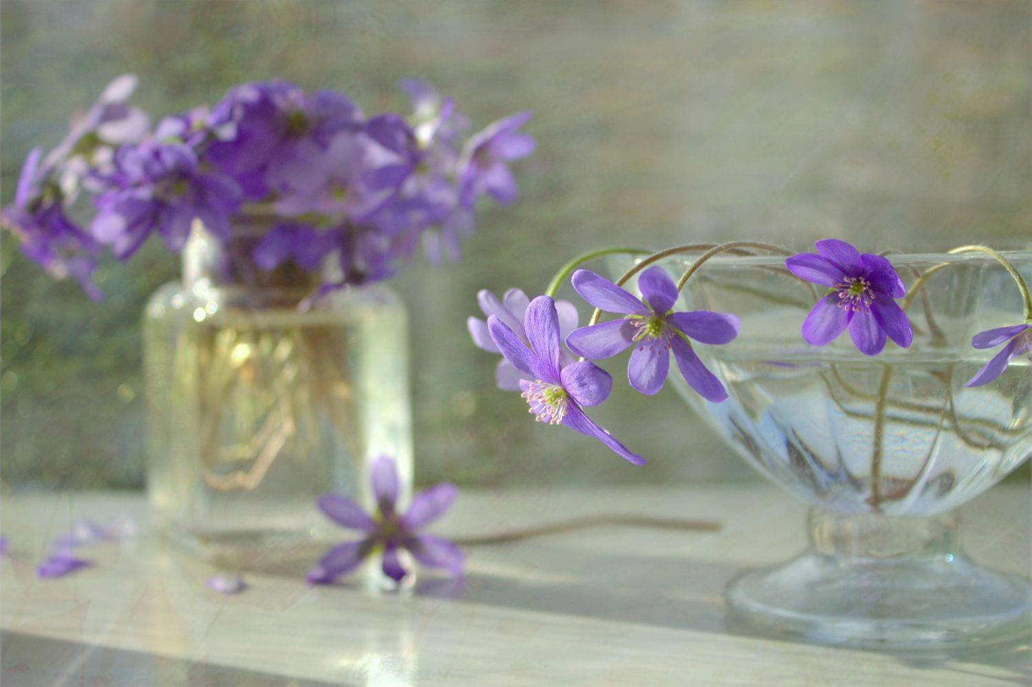 цветы, стекло, натюрморт, Наталья Хохлова