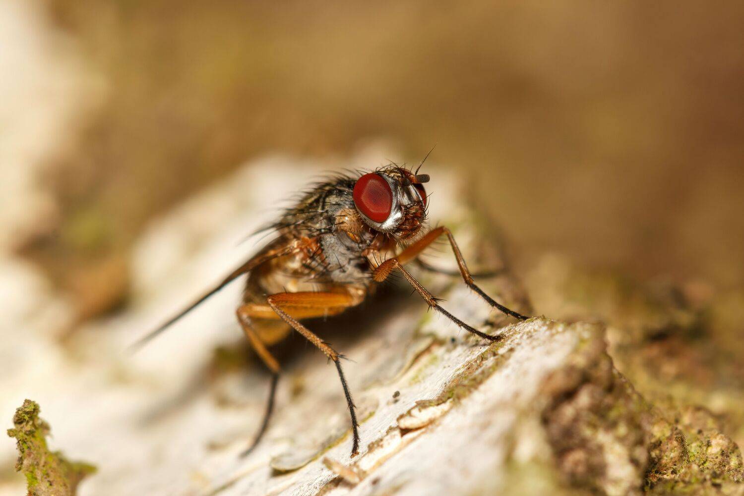 , Котов Андрей