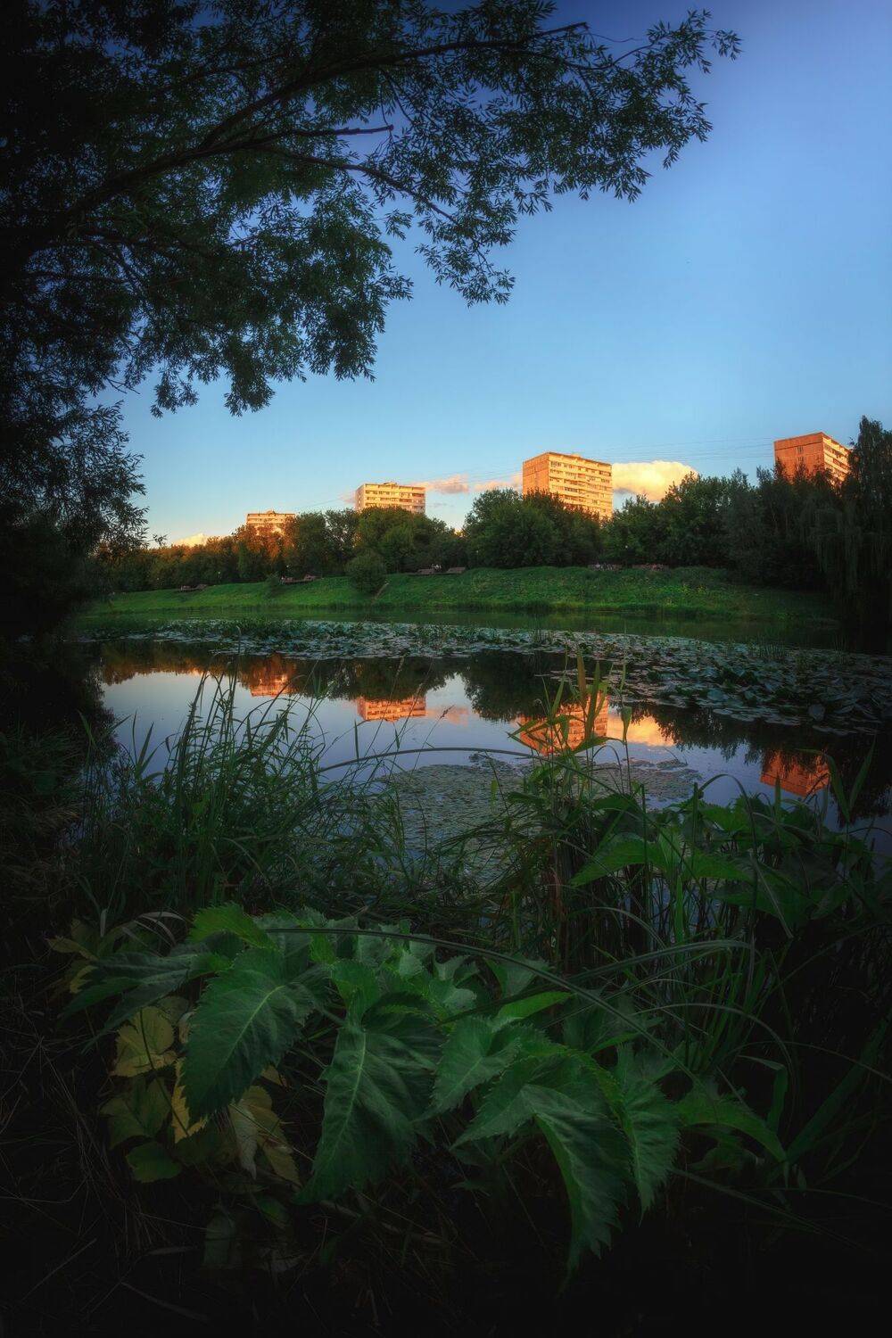 , Котов Андрей