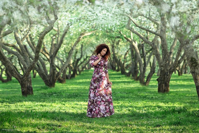 фото превью