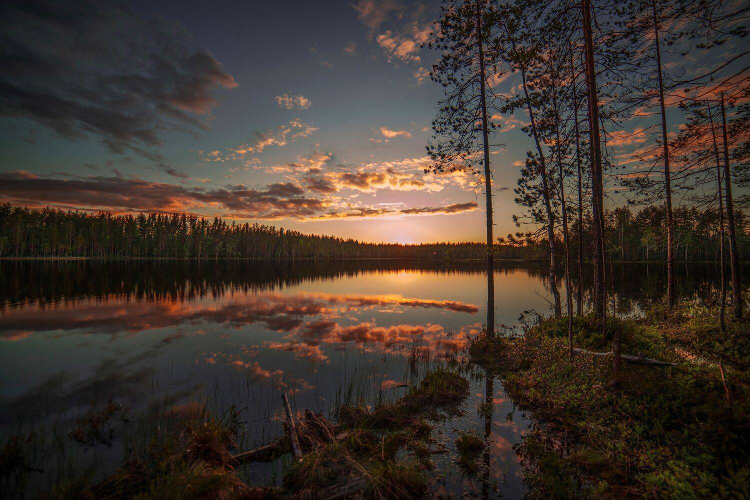 закат карелия природа лес озеро, Анастасия Третьякова