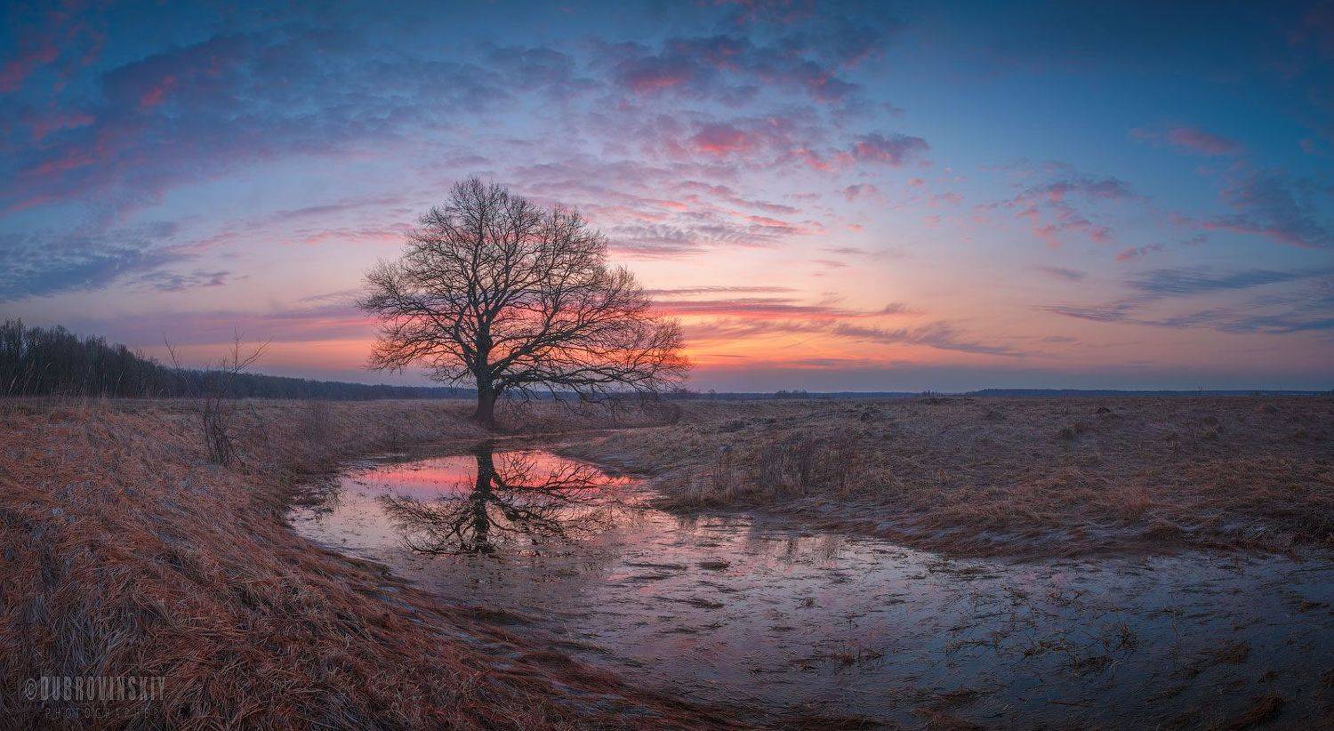 весна, краски, небо, дерево, краски, Дубровинский Михаил
