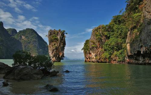 тайская бондиана