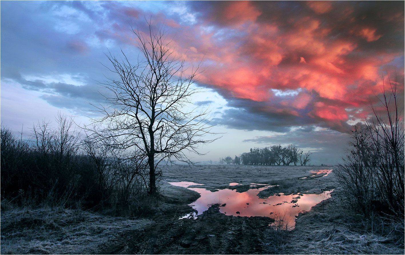 , Alexander Slepcowski