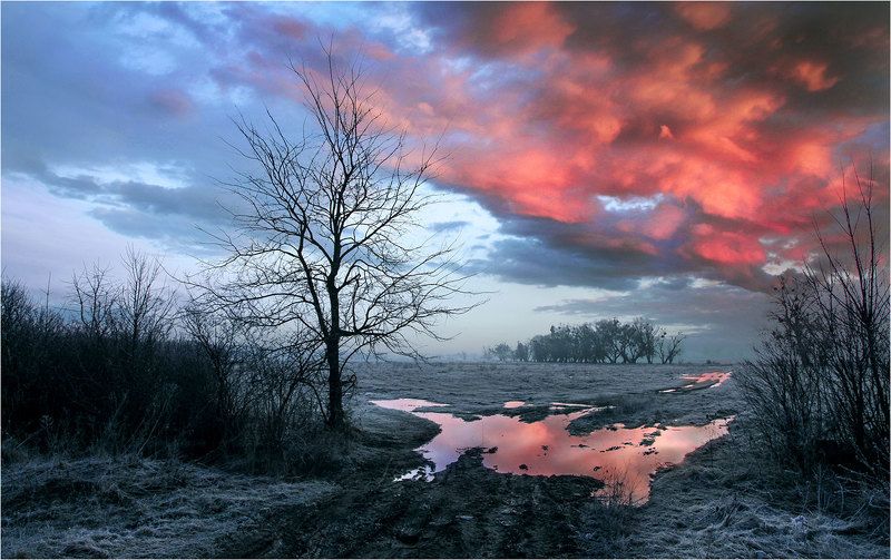 Disturbing dreams фото превью