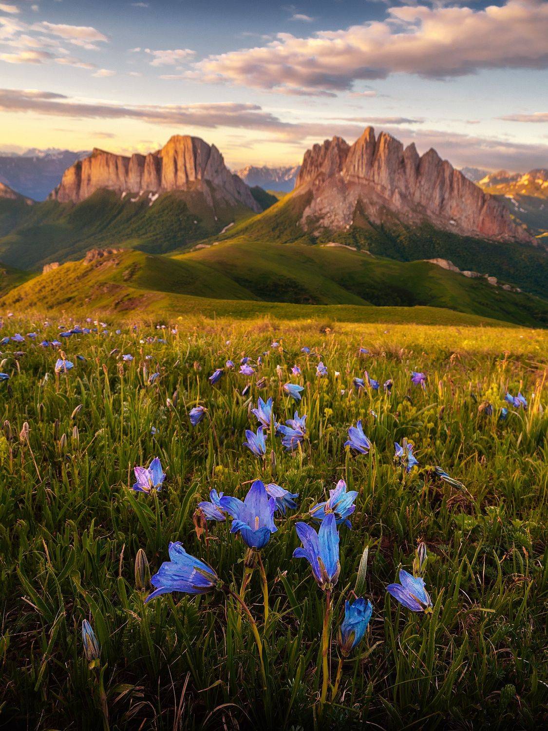 , Андрей Родионов