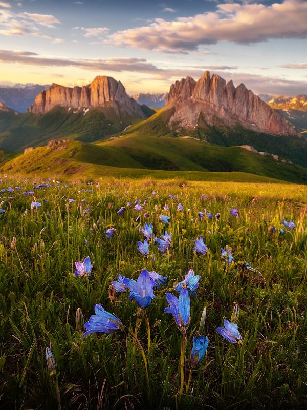Ачешбоки фото превью