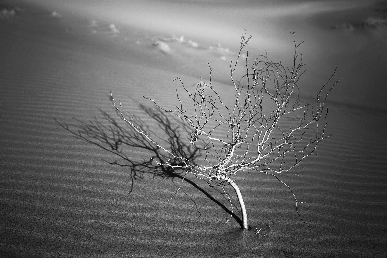 , mehdi karimi souderjani