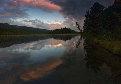 В вечерних сумерках
