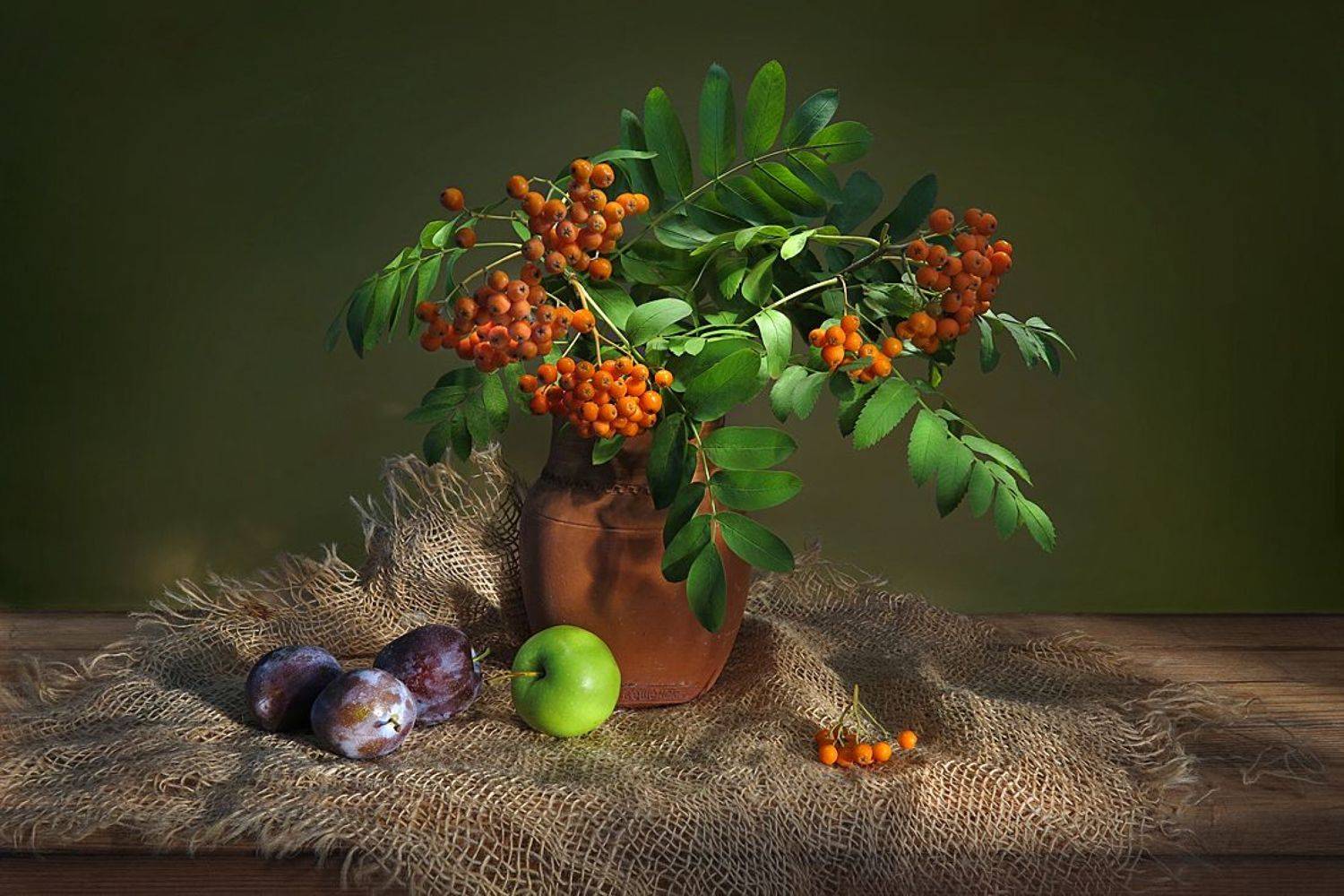 натюрморт,рябина,сливы,яблоко,мешковина, Алла Шевченко