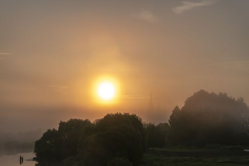 282 фото превью