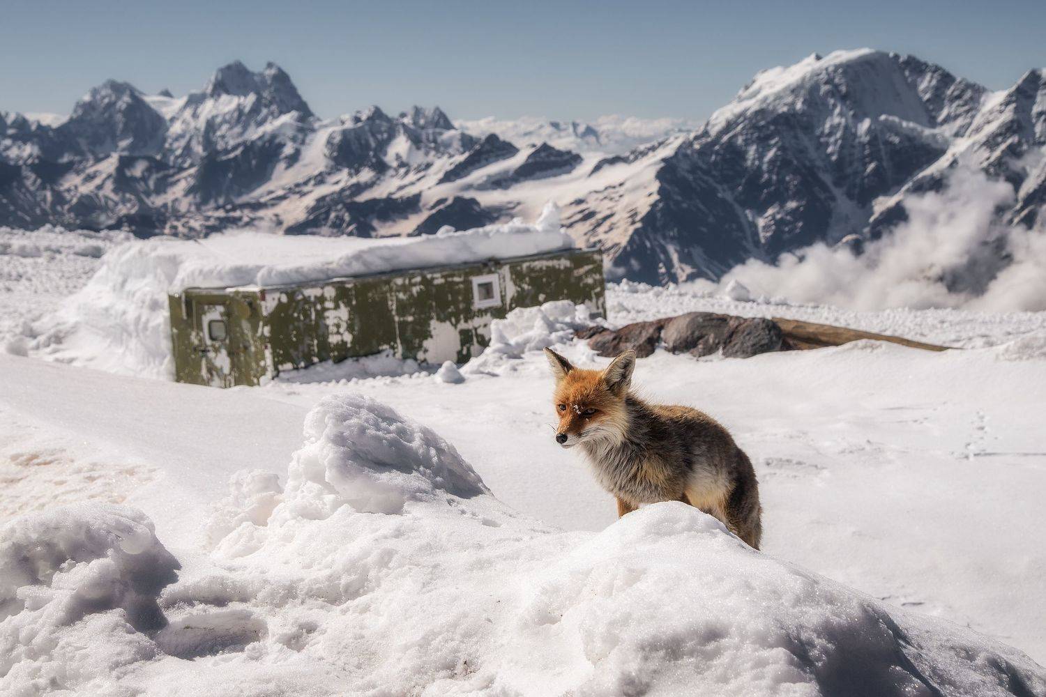 , Михаил Туркеев