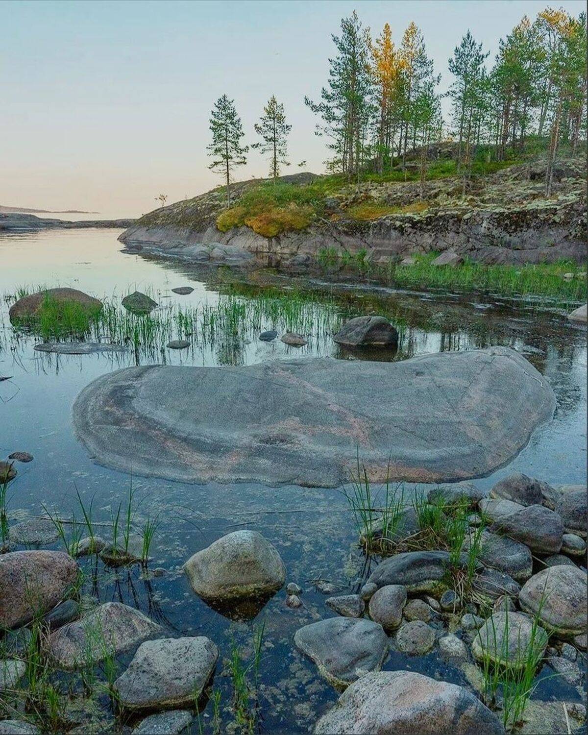 , Петр Косых