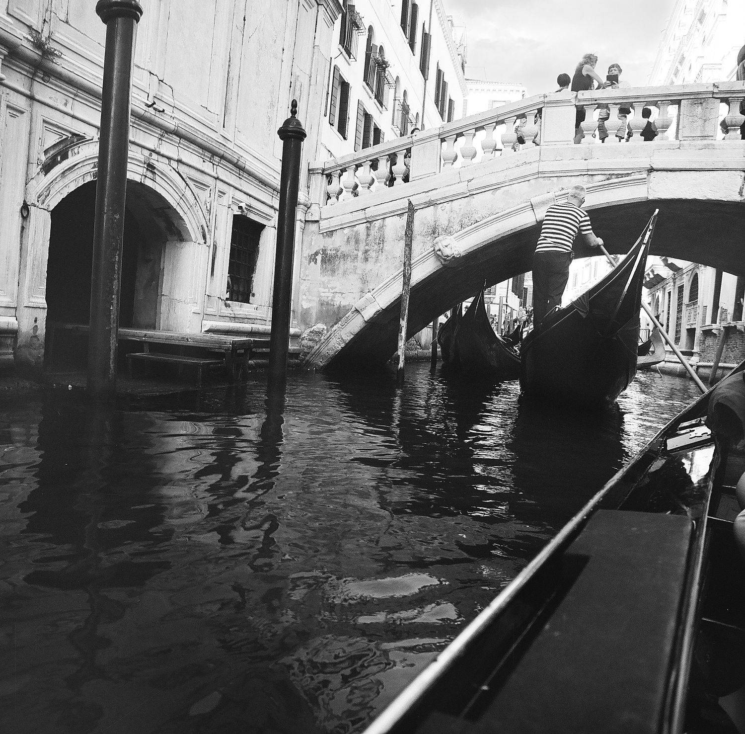 киев88, пленка, аналог, средний, формат, Мистер Тигрилло