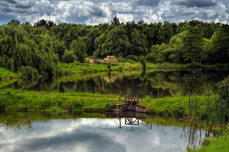 пруд, озеро, лес, пасмурно, облака, тучи Пруд фото превью