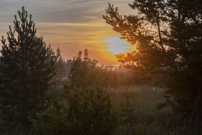 Августовский рассвет фото превью