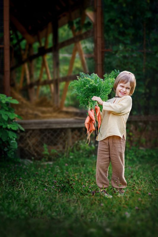 морковь, лето, огород, детство МОРКОВЬ фото превью