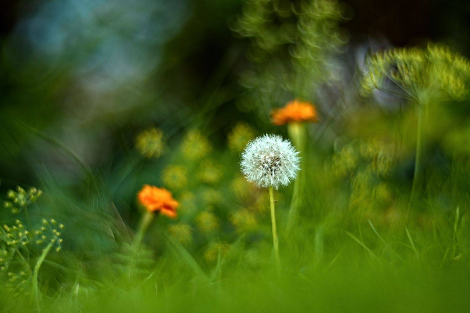 , Эдуард Колобошников