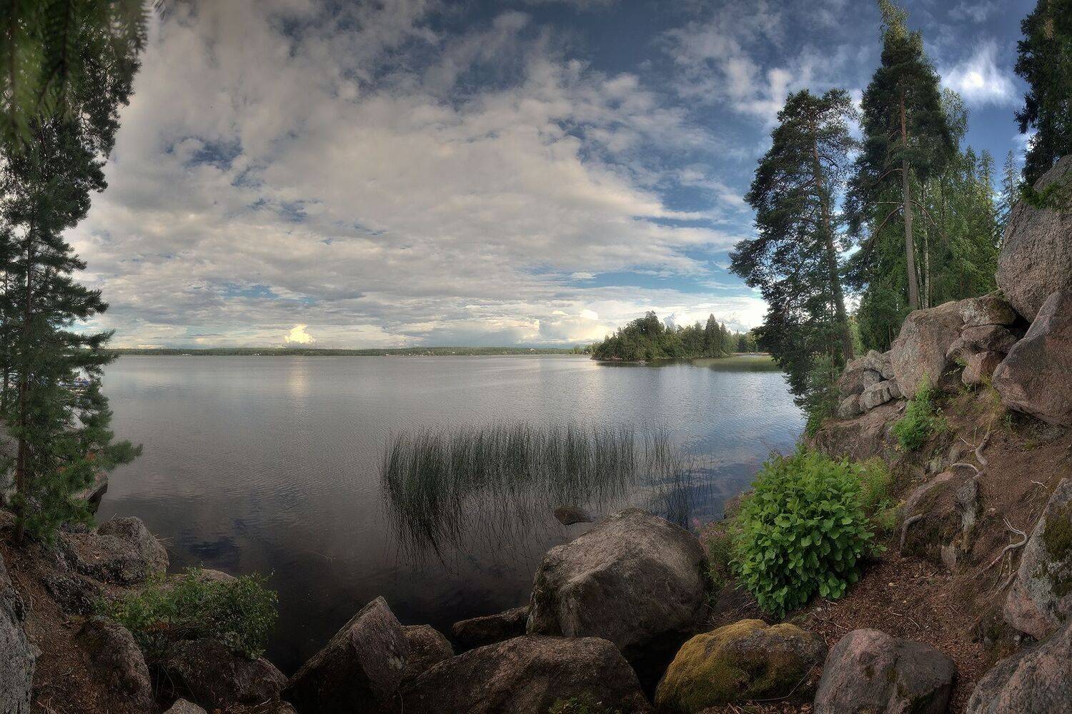 , Алексей Никонов