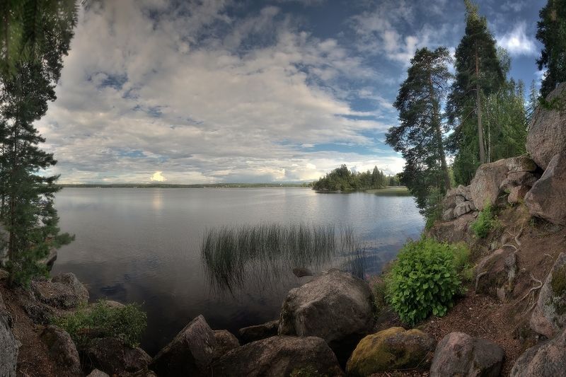 Парк Монрепо фото превью