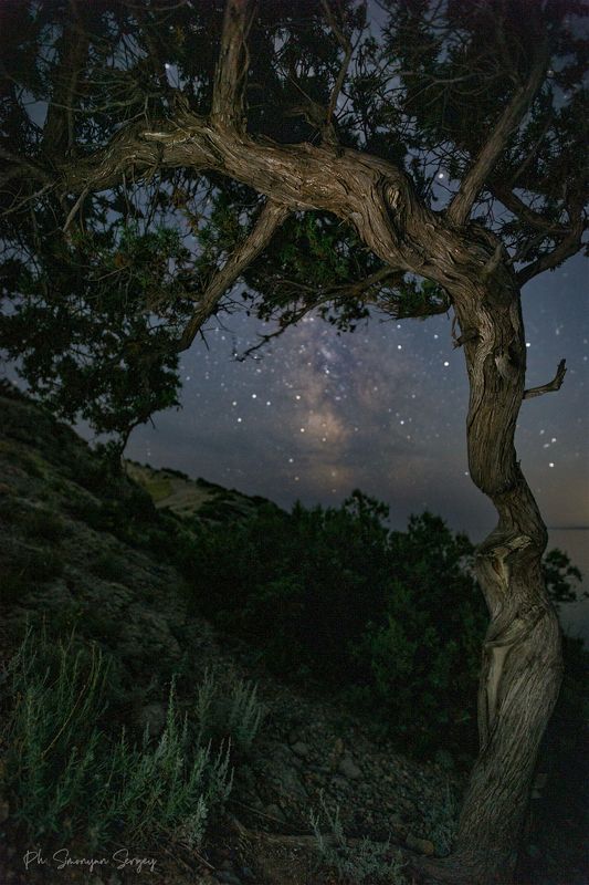 ** фото превью