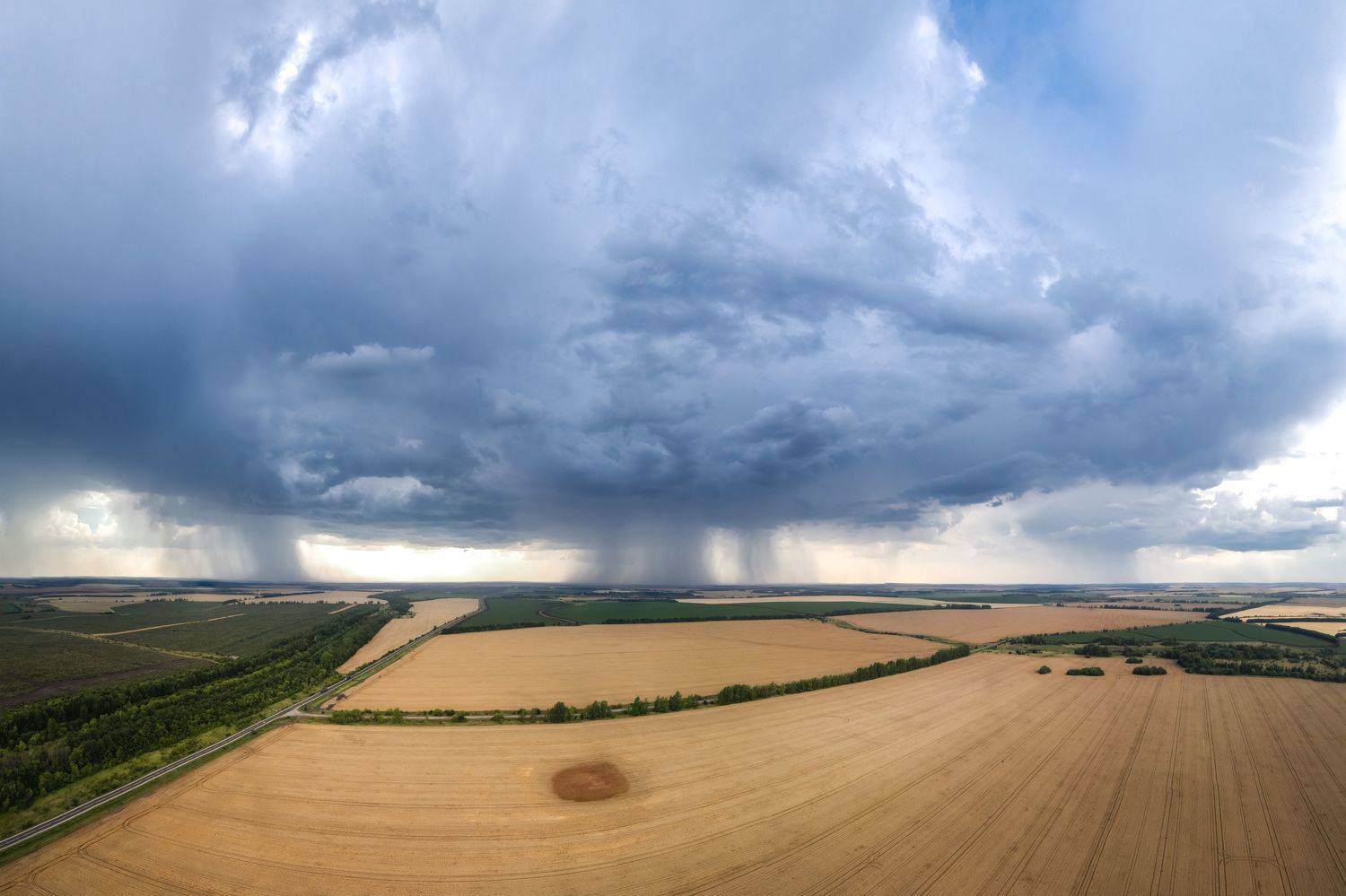 , Павел Трефилов