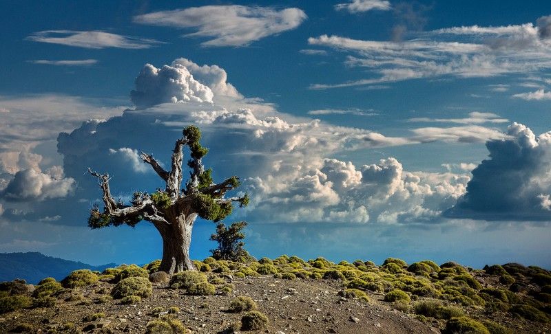 Высоко в горах фото превью