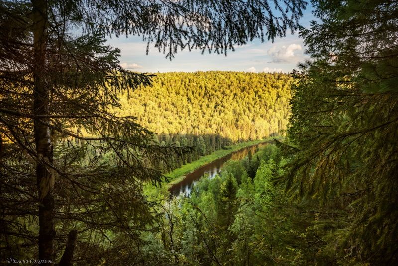 пейзаж, лето, скала, лес, река берёзовая Провожая день фото превью