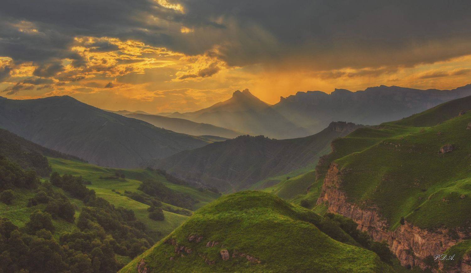 , ПУЗЕНКО ДМИТРИЙ