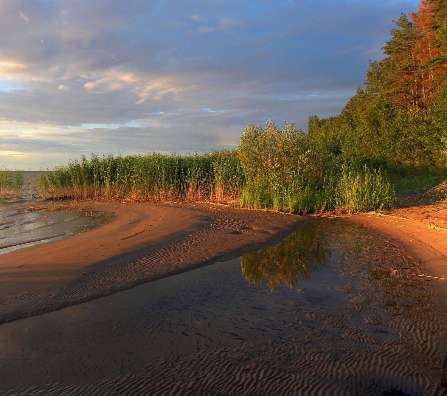 , Сергей Григорьев