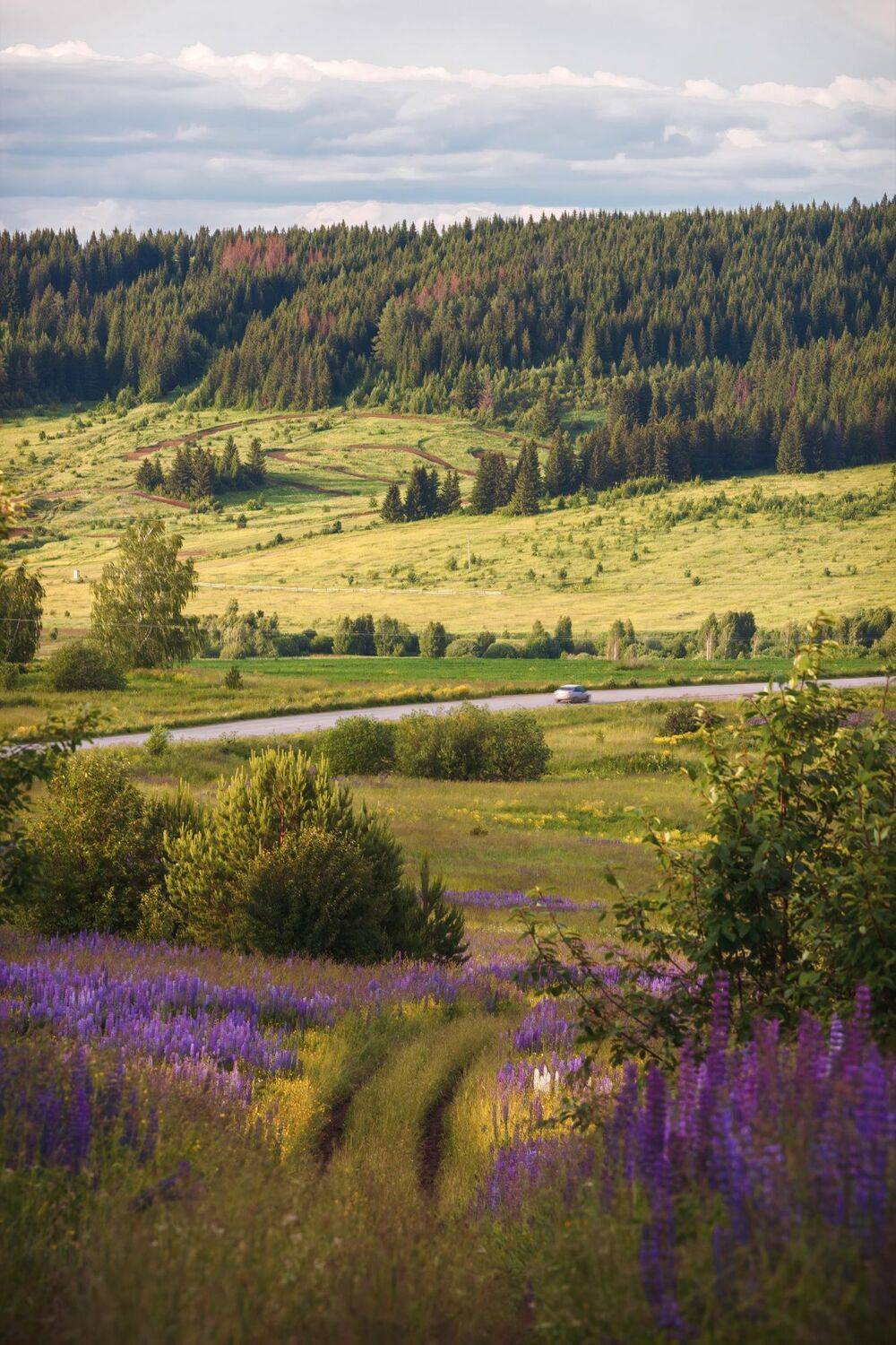 , Котов Андрей