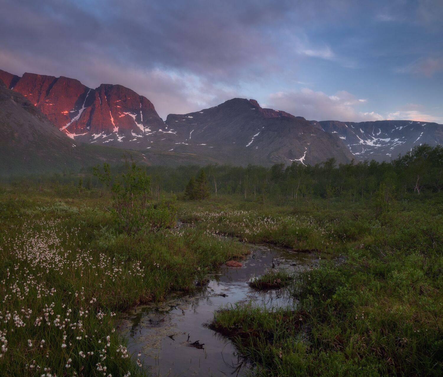, Виталий Истомин