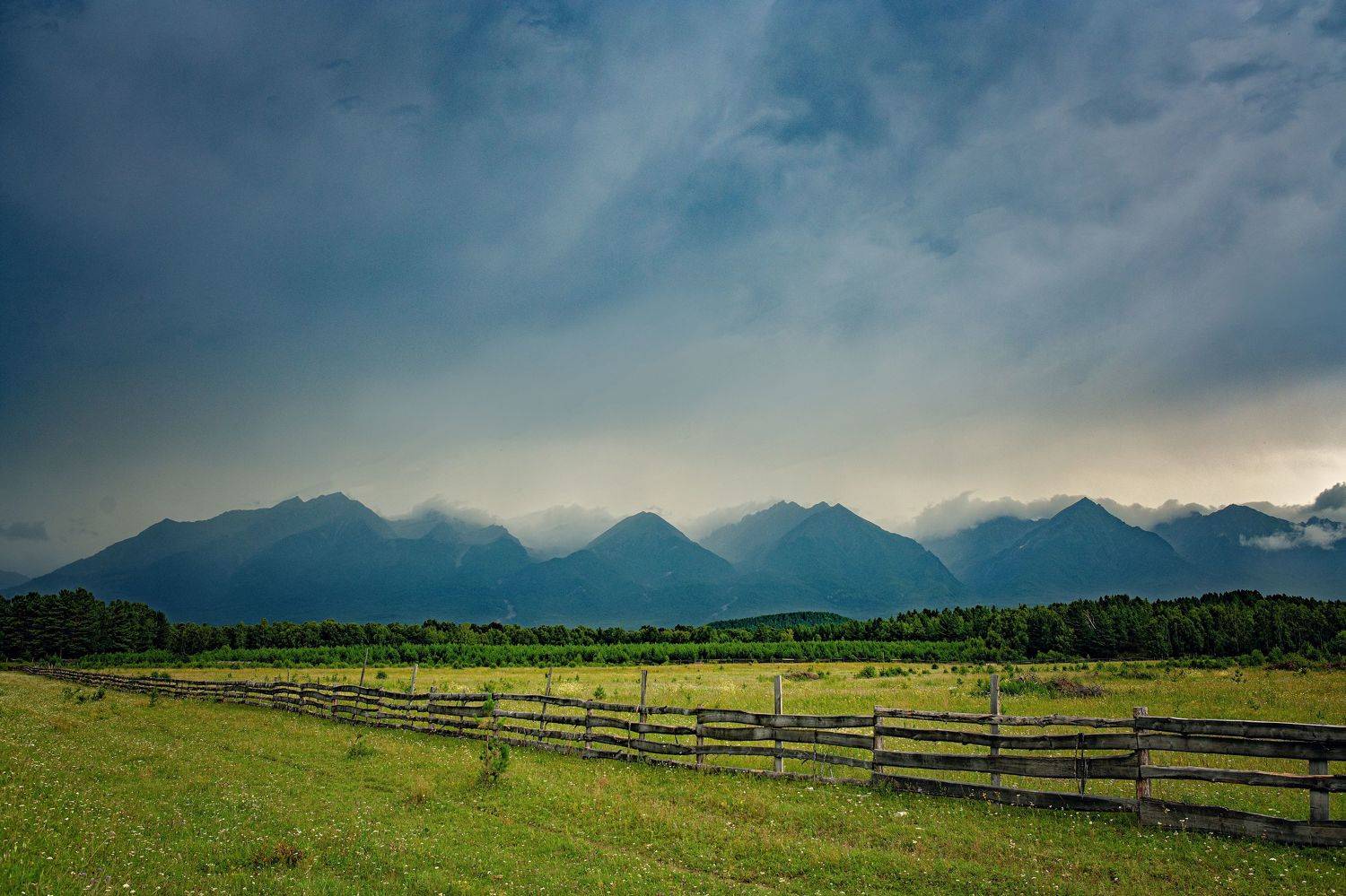 , Алена Литвин