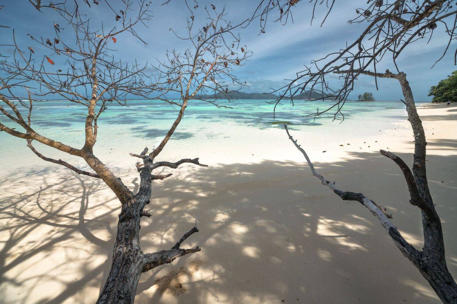 сейшельскиеострова, ладиг, сейшелы, seychelles, ladigue, Владимир Ляпин
