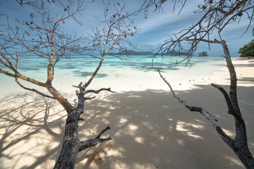 На тропических берегах