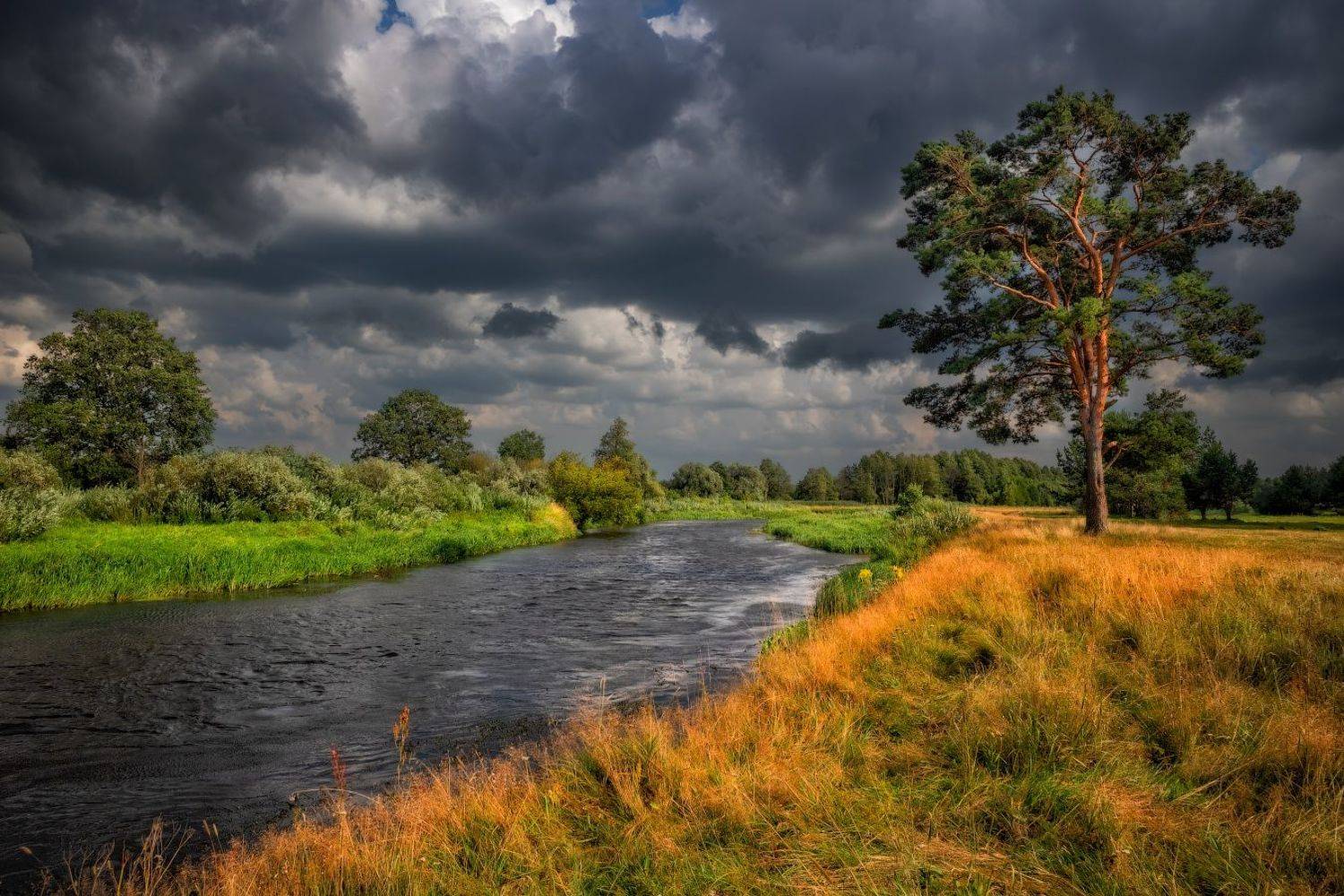 лето, день, река,, Сергей Шабуневич