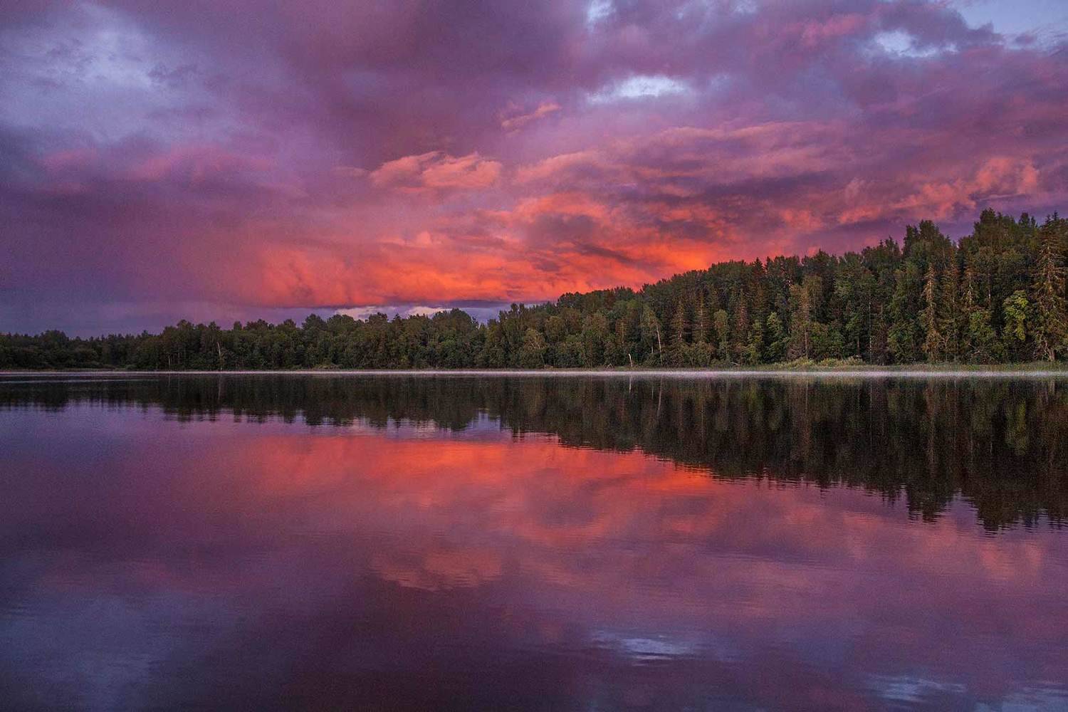 , Напалкин Станислав