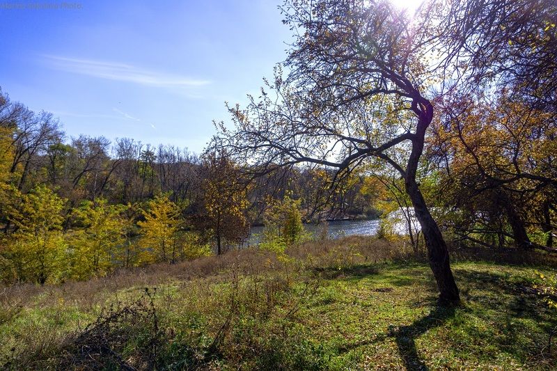 осень,природа,пейзаж Вспоминая осень. фото превью