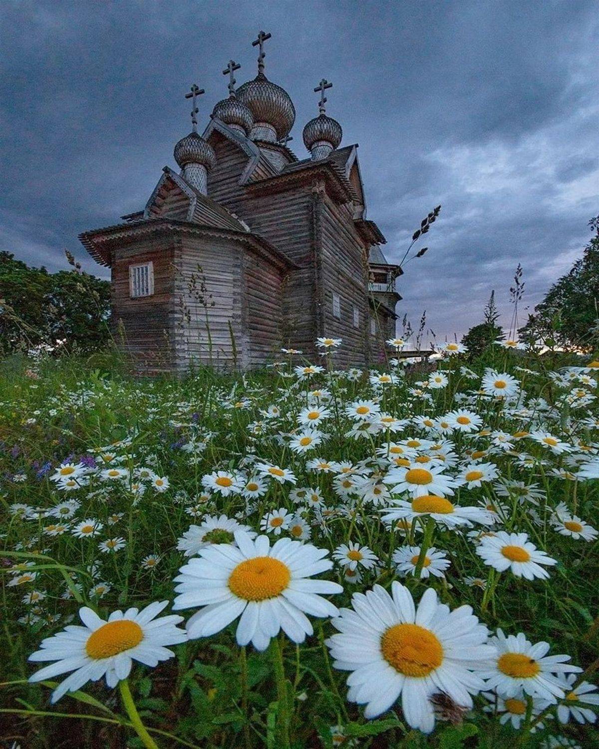 , Петр Косых